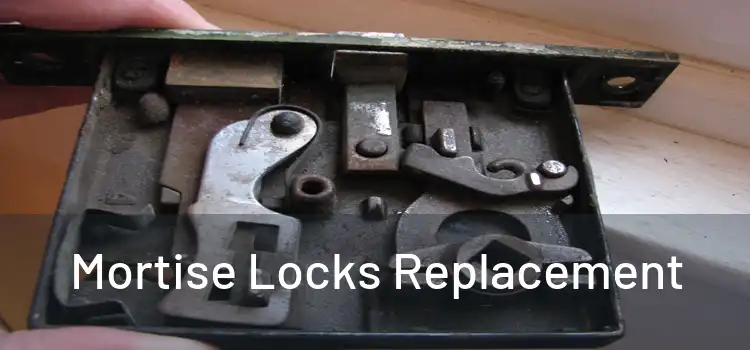 Mortise Locks Replacement