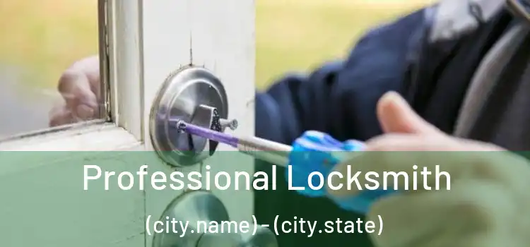 Professional Locksmith (city.name) - (city.state)